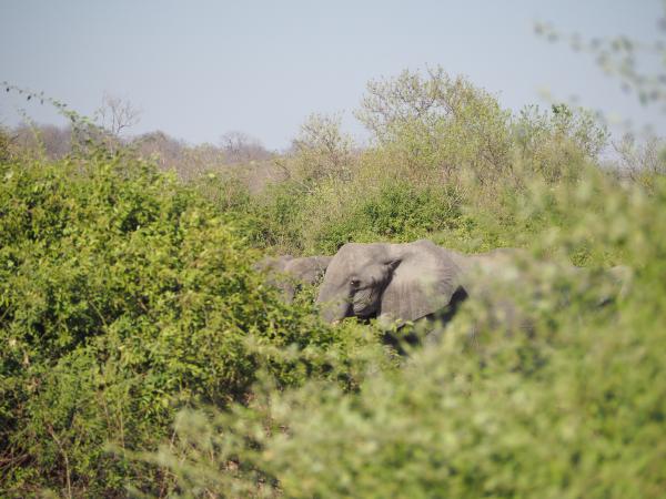 OLYMPUS DIGITAL CAMERA