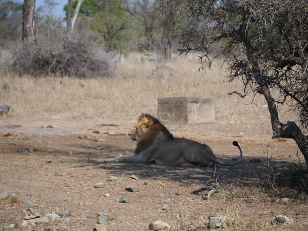 Kruger National Park