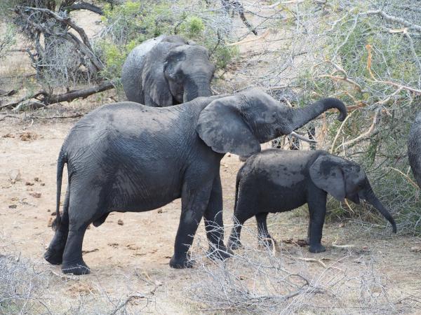 OLYMPUS DIGITAL CAMERA